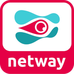 Netway logosu